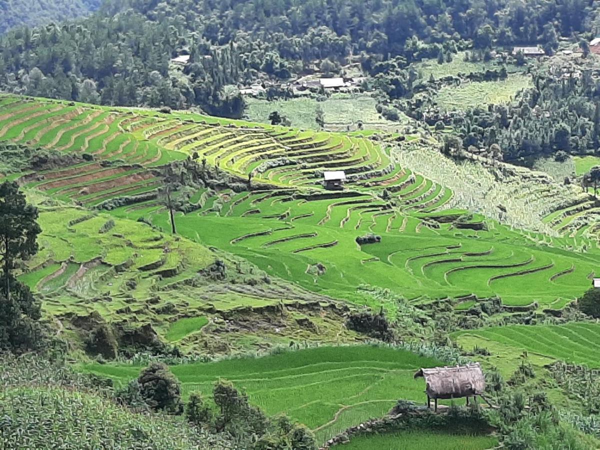 Dong Suoi H'Mong Homestay & Bungalow - Trek & Vegetarian Food Mu Cang Chai Екстериор снимка