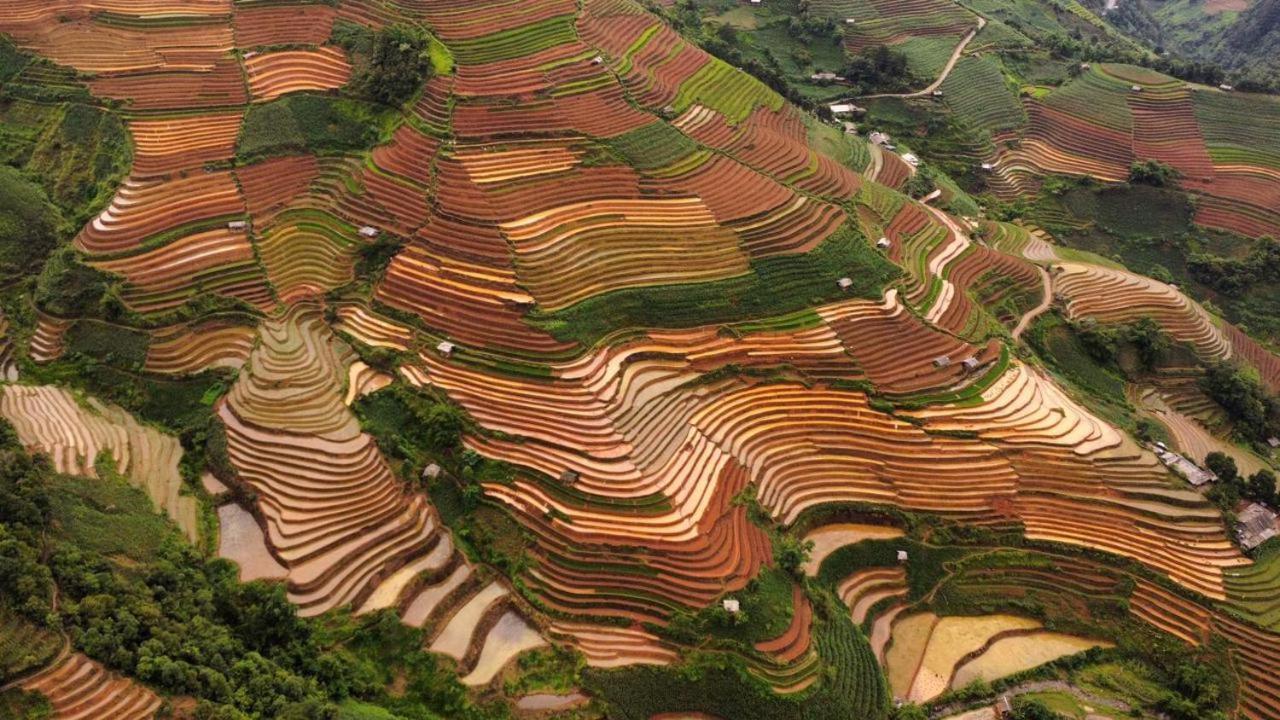 Dong Suoi H'Mong Homestay & Bungalow - Trek & Vegetarian Food Mu Cang Chai Екстериор снимка