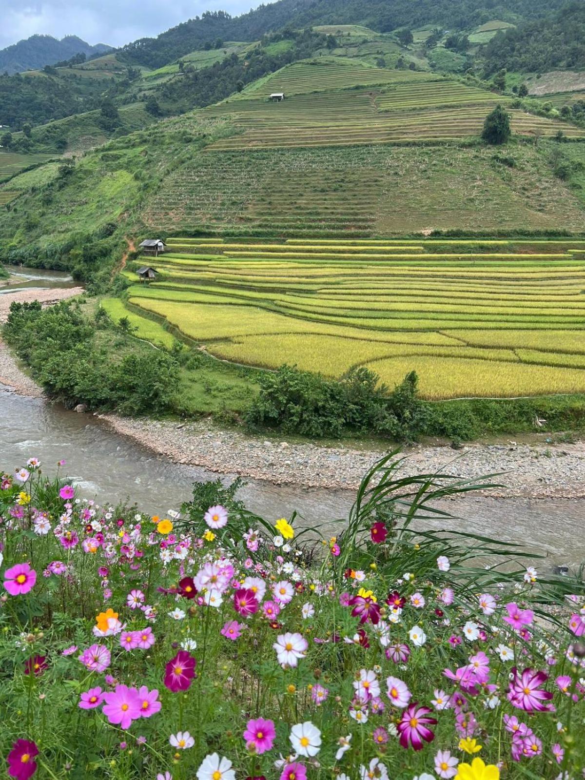 Dong Suoi H'Mong Homestay & Bungalow - Trek & Vegetarian Food Mu Cang Chai Екстериор снимка