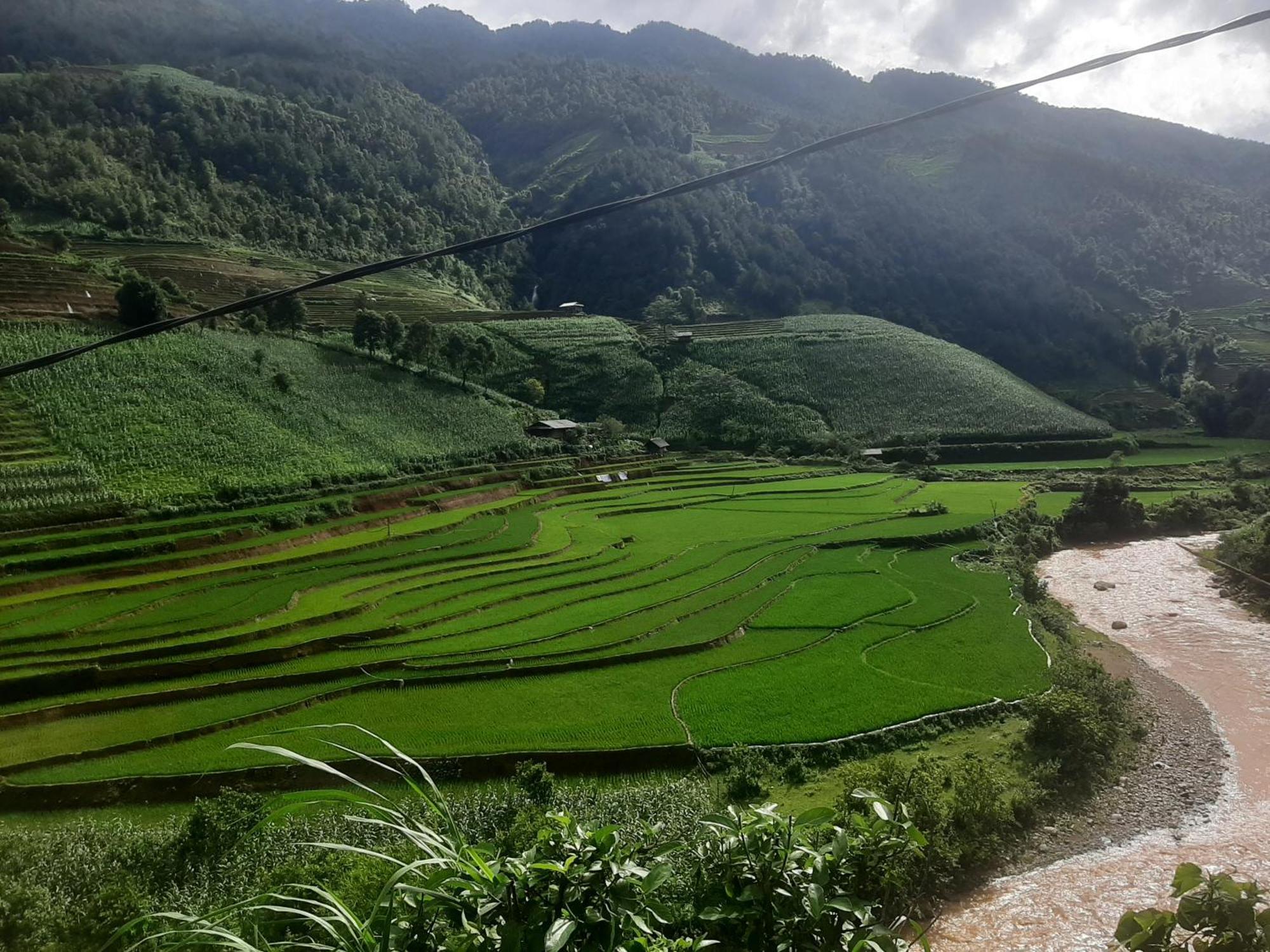 Dong Suoi H'Mong Homestay & Bungalow - Trek & Vegetarian Food Mu Cang Chai Екстериор снимка